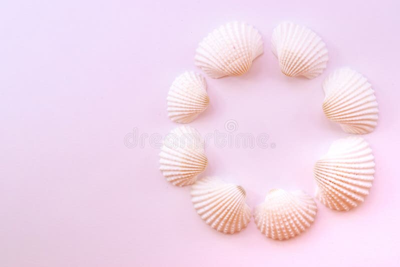 Творческая плоская положенная фотография с космосом экземпляра Коллаж seashells изолированных на розовой предпосылке r r стоковая фотография rf Творческая плоская положенная фотография с космосом экземпляра Коллаж seashells изолированных на розовой предпосылке r r стоковая фотография rf