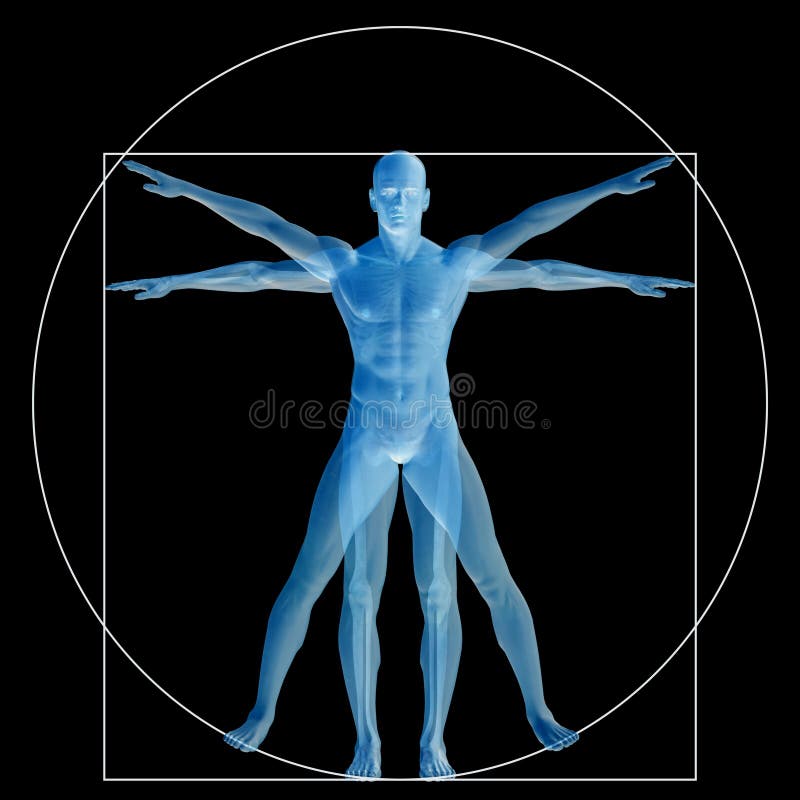 Тело анатомии пропорции 3d человека или человека Vitruvian схематическое иллюстрация вектора