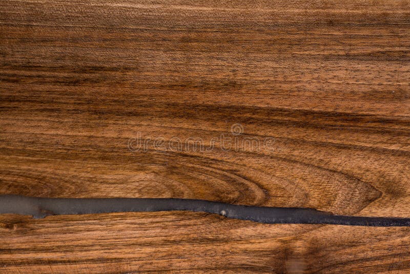 Real surface walnut tree wood use for background. Real surface walnut tree wood use for background