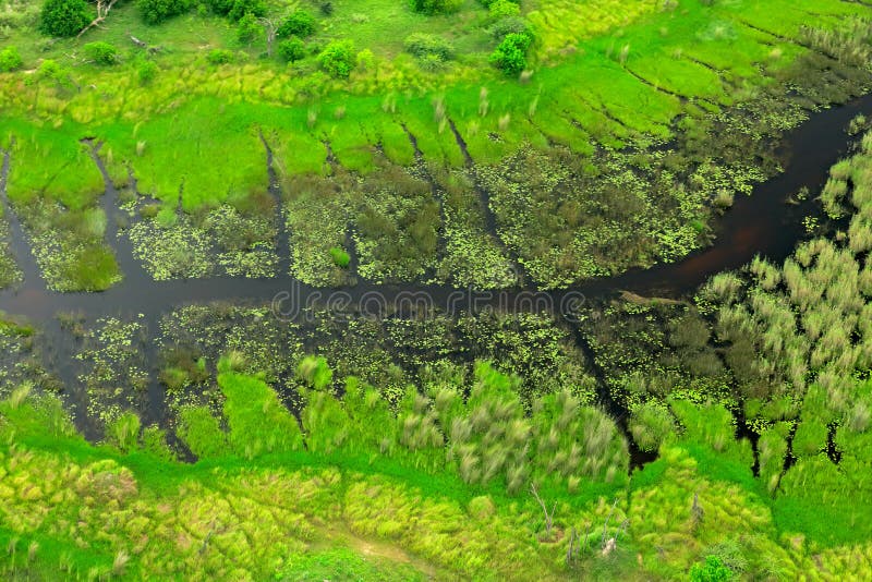 Темное река, воздушный ландшафт в перепаде Okavango, Ботсване Озера и реки, взгляд от самолета, места всемирного наследия ЮНЕСКО стоковые фотографии rf Темное река, воздушный ландшафт в перепаде Okavango, Ботсване Озера и реки, взгляд от самолета, места всемирного наследия ЮНЕСКО стоковые фотографии rf