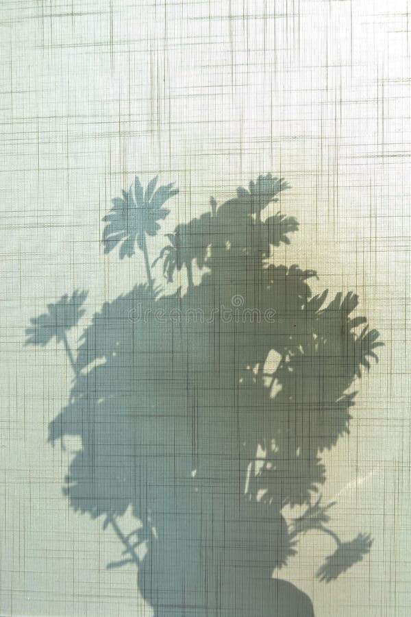 Textured shadow on the curtain from a bouquet of daisies in a vase on the window. Textured shadow on the curtain from a bouquet of daisies in a vase on the window