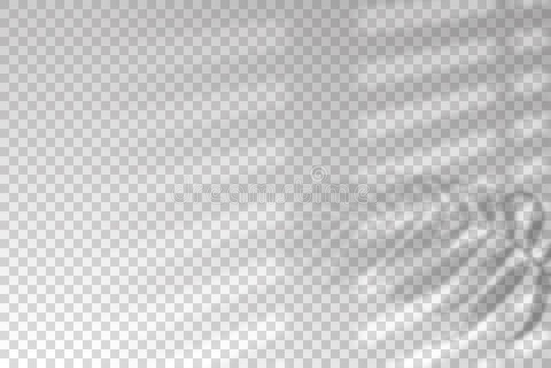Тень слепых окна. Тень изолированной на фоне. Затенения лист завода влияния верхнего слоя. Тень отражения. На свет из окна иллюстрация штока