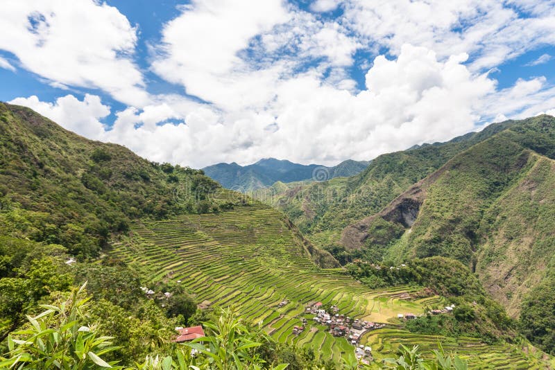 Террасы риса Banaue в Филиппинах стоковая фотография Террасы риса Banaue в Филиппинах стоковая фотография
