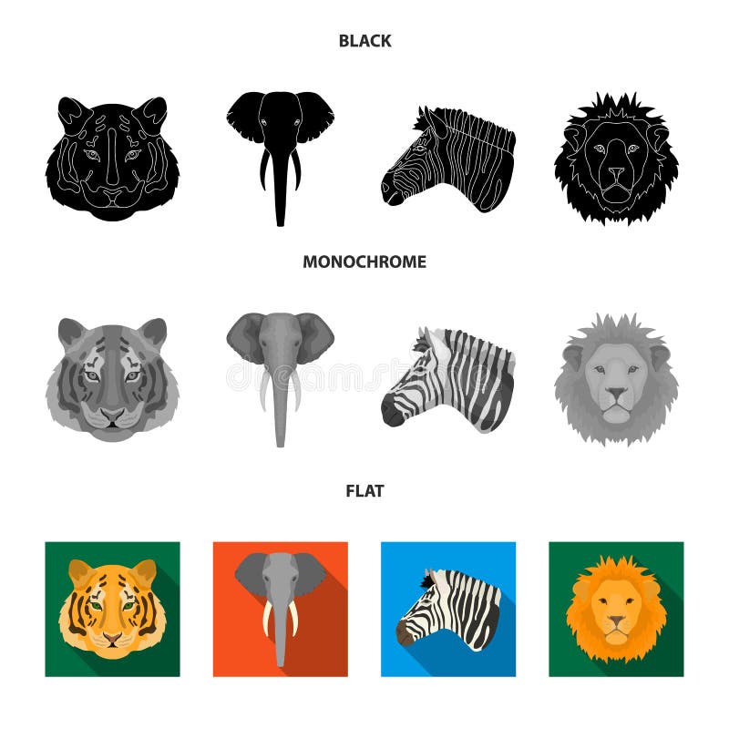 Тигр, лев, слон, зебра, реалистические животные установил значки собрания в черном, плоском, monochrome символе вектора стиля