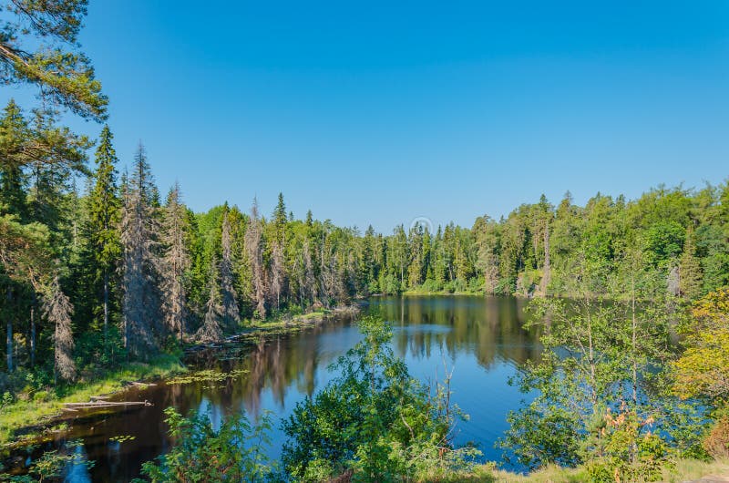 Тихое внутреннее озеро острова Valaam Уникальная природа Karelia стоковая фотография rf Тихое внутреннее озеро острова Valaam Уникальная природа Karelia стоковая фотография rf