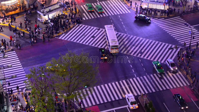 токио shibuya скрещивания