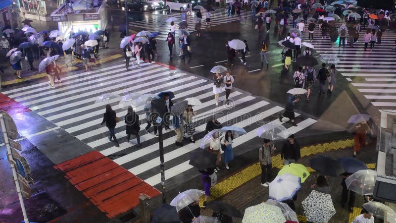 токио shibuya скрещивания