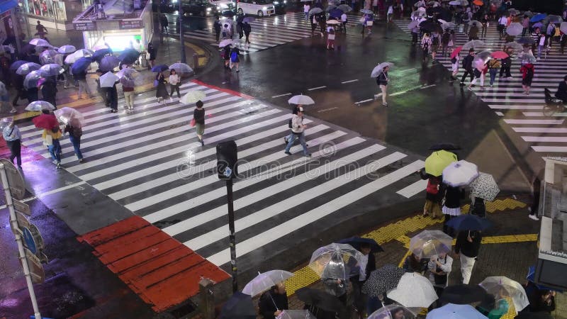 токио shibuya скрещивания