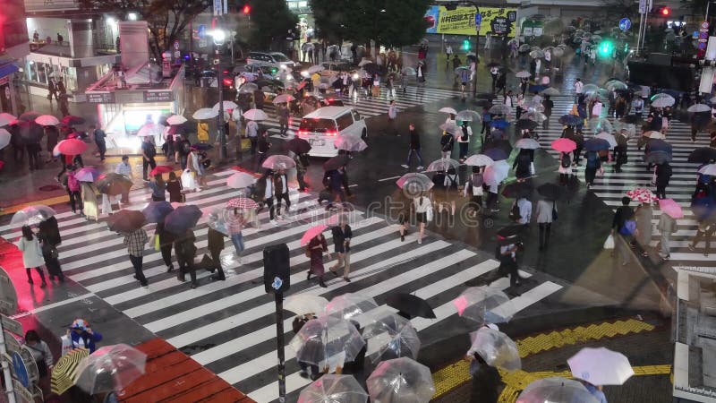 токио shibuya скрещивания