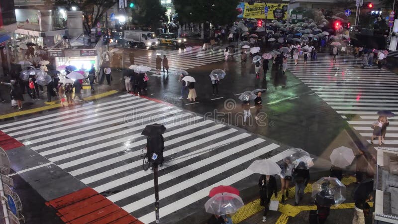 токио shibuya скрещивания