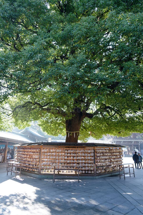 Токио, Япония - 20-ое ноября 2016: ema в святыне Meiji Jingu, который приходит стоковая фотография rf Токио, Япония - 20-ое ноября 2016: ema в святыне Meiji Jingu, который приходит стоковая фотография rf