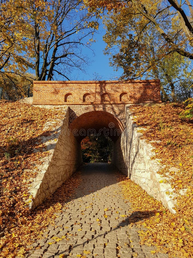 Тоннель кирпичей в последней осени стоковая фотография Тоннель кирпичей в последней осени стоковая фотография