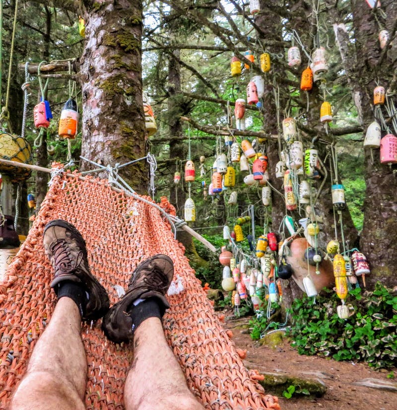 Точка зрения hiker отдыхая в гамаке на кемпинге с томбуями вися в деревьях на следе западного побережья, b C стоковые изображения Точка зрения hiker отдыхая в гамаке на кемпинге с томбуями вися в деревьях на следе западного побережья, b C стоковые изображения