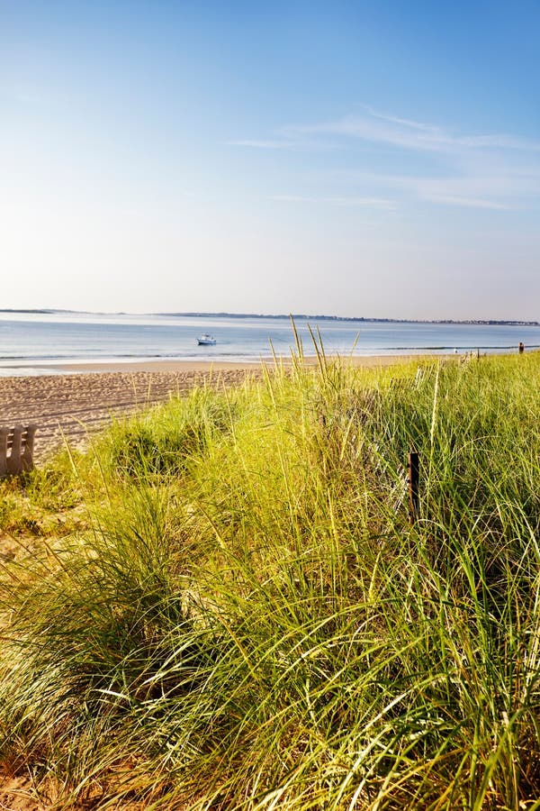 Sand dunes don't stay within the fence - early Summer morning at a Maine beach. Sand dunes don't stay within the fence - early Summer morning at a Maine beach