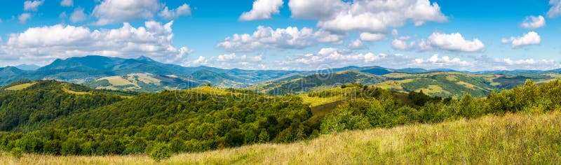 Panorama of a beautiful landscape. grassy meadows and forested hills in early autumn. mountain ridge in the distance beneath a blue sky with clouds. Panorama of a beautiful landscape. grassy meadows and forested hills in early autumn. mountain ridge in the distance beneath a blue sky with clouds