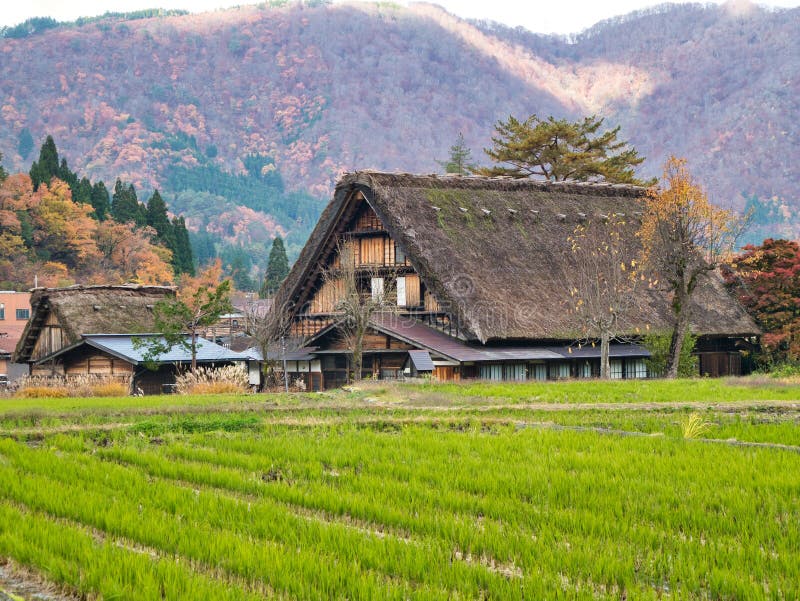 Традиционные покрыванные солома дома Shirakawago, внесенный в список всемирного наследия ЮНЕСКО, перечисленные в Японии стоковое фото rf
