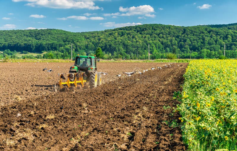 Трактор вспахивает поле в лете Редакционное Стоковое Изображение ...