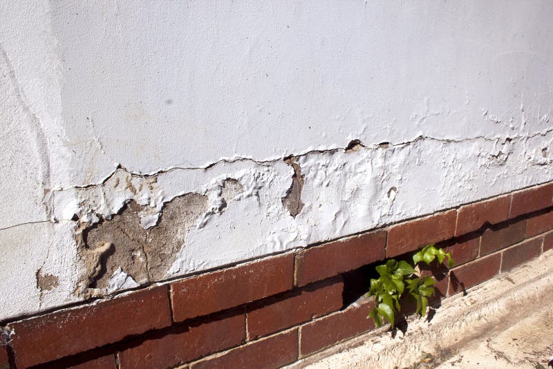 Cracking and peeling paint due to rising damp. Cracking and peeling paint due to rising damp