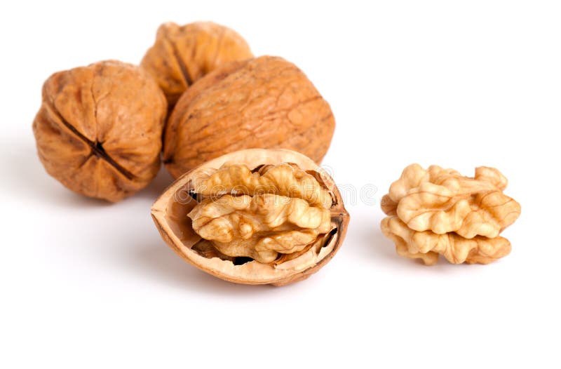 Walnut and a cracked walnut isolated on the white background. Walnut and a cracked walnut isolated on the white background