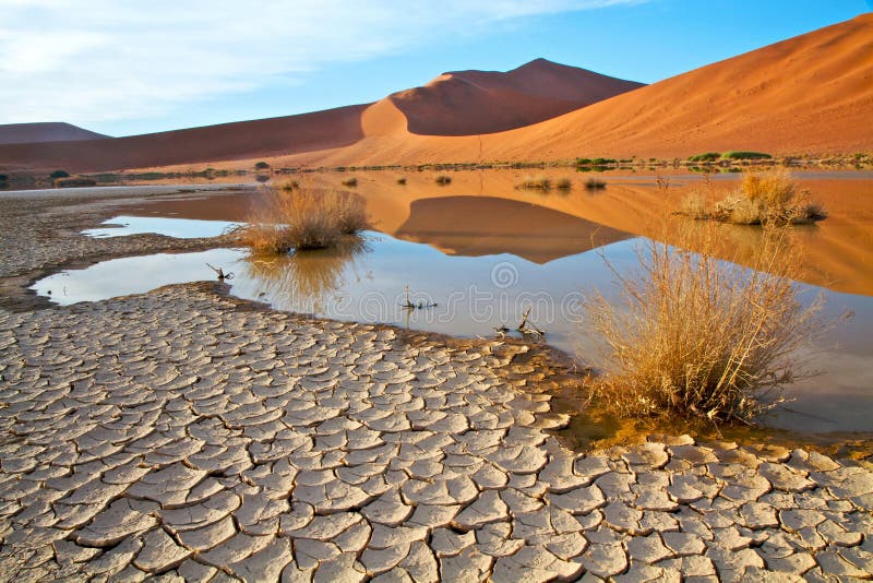 треснутый ландшафт namibian земли стоковые изображения