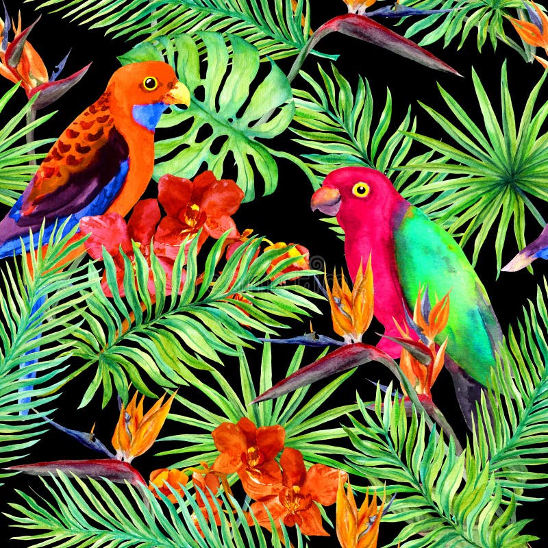 Тропические листья, птицы попугая, экзотические цветки Безшовная картина джунглей на черной предпосылке акварель бесплатная иллюстрация Тропические листья, птицы попугая, экзотические цветки Безшовная картина джунглей на черной предпосылке акварель бесплатная иллюстрация