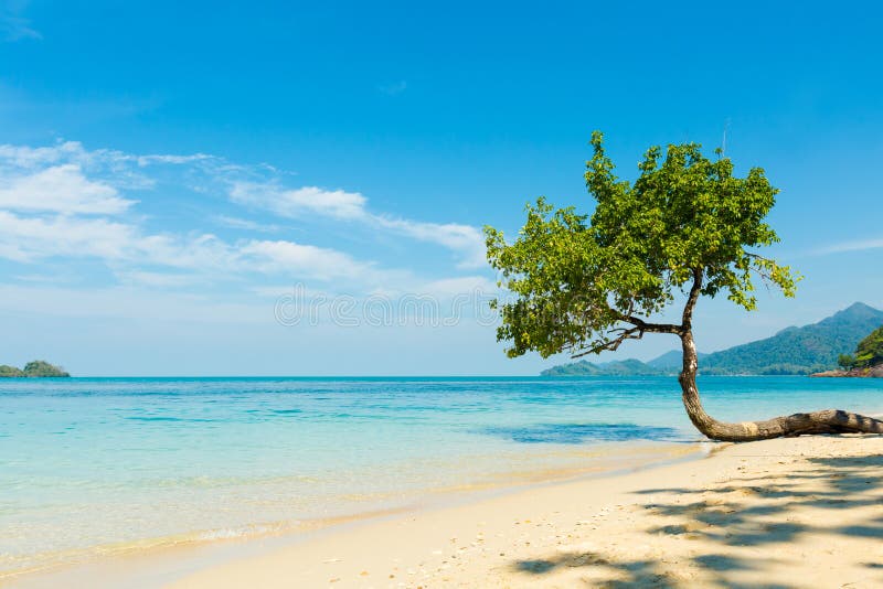 Тропический ландшафт Koh Chang стоковое фото Тропический ландшафт Koh Chang стоковое фото