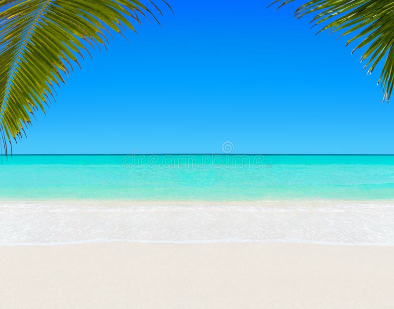 Тропический белый песочный Palm Beach и ясный океан мочат предпосылку стоковая фотография rf Тропический белый песочный Palm Beach и ясный океан мочат предпосылку стоковая фотография rf