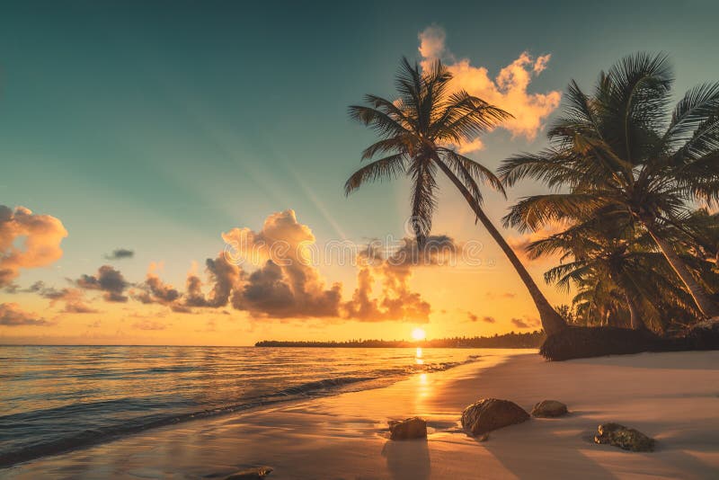 Тропический пляж в Punta Cana, Доминиканской Республике Восход солнца над экзотическим островом в океане Тропический пляж в Punta Cana, Доминиканской Республике Восход солнца над экзотическим островом в океане