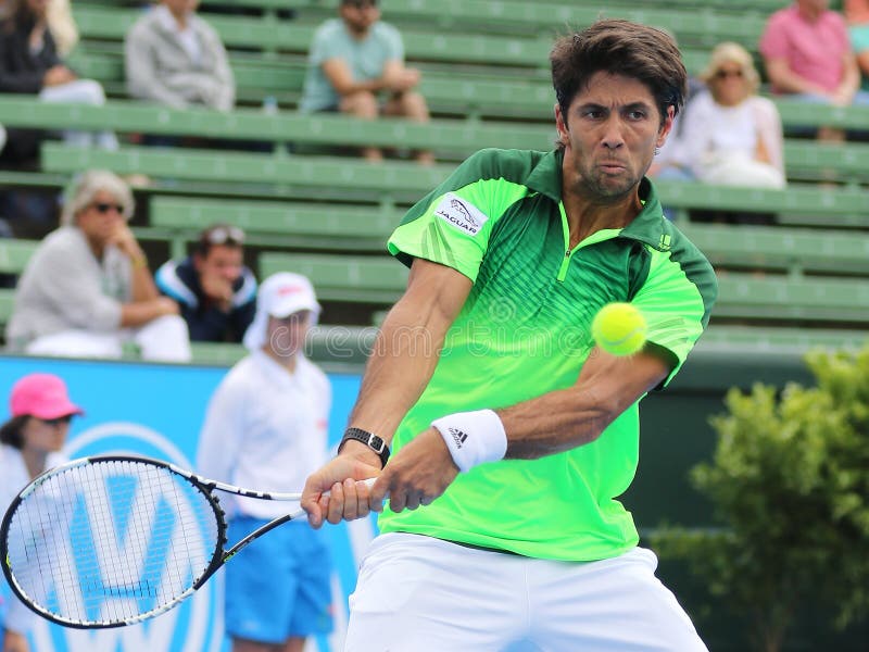 Удар слева Фернандо Verdasco Topspin перед ударом стоковые изображения rf Удар слева Фернандо Verdasco Topspin перед ударом стоковые изображения rf