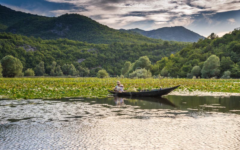 Удить в озере Skadar стоковое изображение rf Удить в озере Skadar стоковое изображение rf