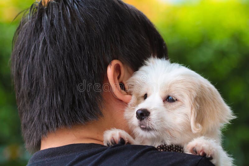 Укомплектуйте личным составом petting милый мальтийсный щенок на его плече стоковое фото rf Укомплектуйте личным составом petting милый мальтийсный щенок на его плече стоковое фото rf