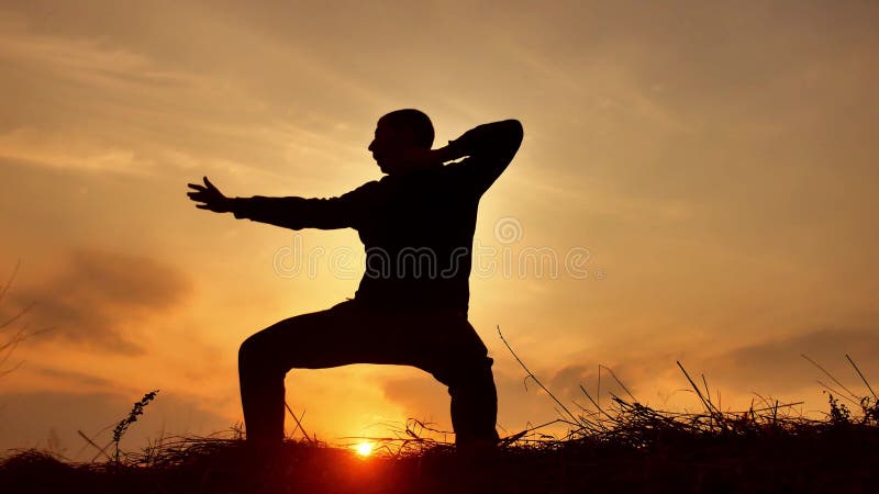 Укомплектуйте личным составом kung Fu карате силуэта монаха ратника практикуя на травянистом горизонте на заходе солнца Нога пинк акции видеоматериалы Укомплектуйте личным составом kung Fu карате силуэта монаха ратника практикуя на травянистом горизонте на заходе солнца Нога пинк акции видеоматериалы