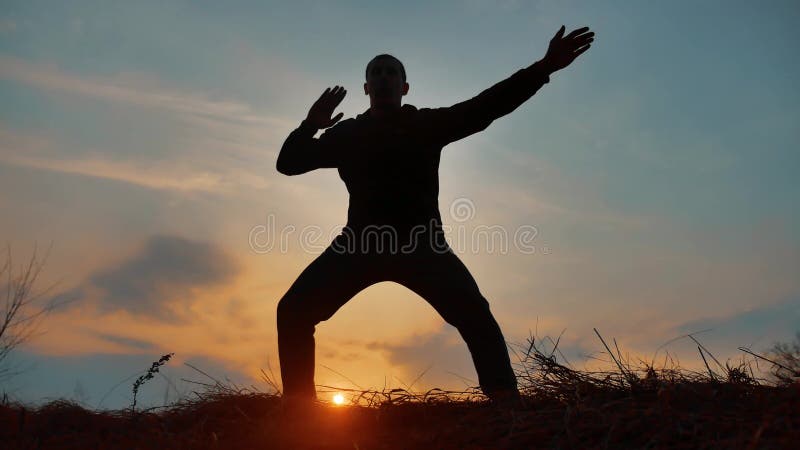 Укомплектуйте личным составом kung Fu карате силуэта монаха ратника практикуя на травянистом горизонте на заходе солнца Нога пинк сток-видео Укомплектуйте личным составом kung Fu карате силуэта монаха ратника практикуя на травянистом горизонте на заходе солнца Нога пинк сток-видео