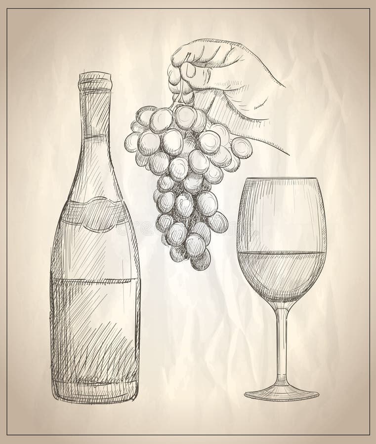 Hand drawn graphic illustration of a man hand holding bunch of grapes, glass of wine and a bottle of wine. Hand drawn graphic illustration of a man hand holding bunch of grapes, glass of wine and a bottle of wine