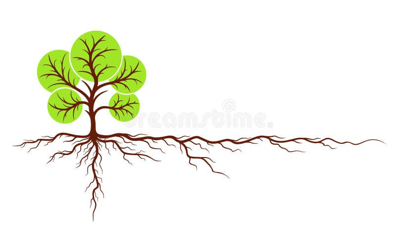 корни Стоковых иллюстраций и клипартов – (28,212 Стоковых иллюстраций)