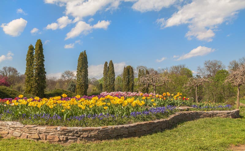 УКРАИНА, BELAYA TSERKOV: Coniferetum с весной цветет bloomin стоковые изображения УКРАИНА, BELAYA TSERKOV: Coniferetum с весной цветет bloomin стоковые изображения