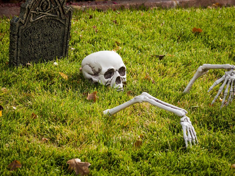 Украшения halloween стоковые фотографии rf