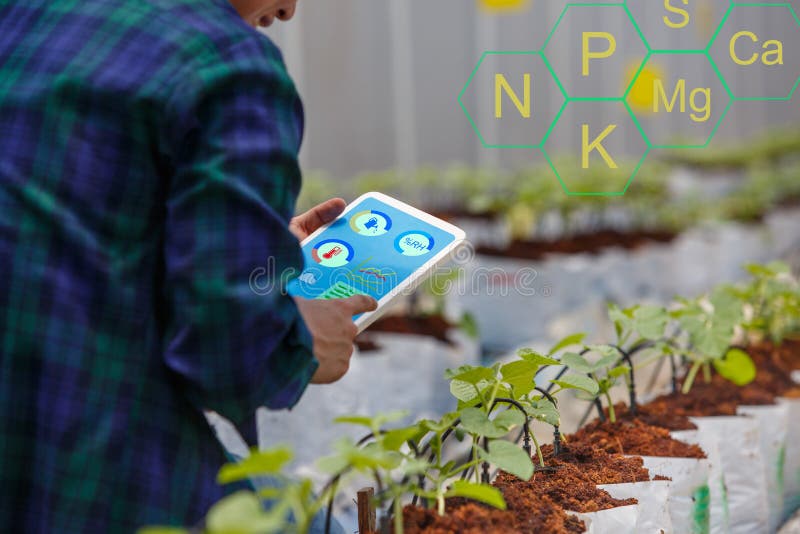 Smart farm, Farmer using tablet computer control the drip Irrigation system and minerals for plants in green house. Smart farm, Farmer using tablet computer control the drip Irrigation system and minerals for plants in green house