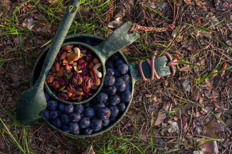 Установите блюд eco Ягоды и высушенные плоды в изделиях eco Закуска на заходе солнца стоковое фото Установите блюд eco Ягоды и высушенные плоды в изделиях eco Закуска на заходе солнца стоковое фото