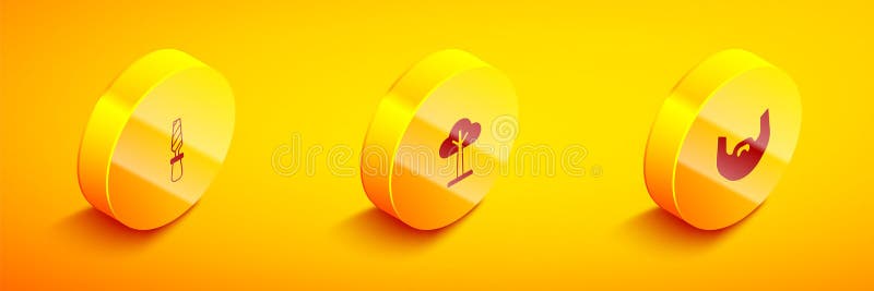 Установить дерево металлических файлов Isometric Rasp и значок Mustache и бороды. Вектор иллюстрация штока