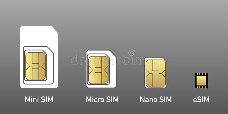 Esim вектор