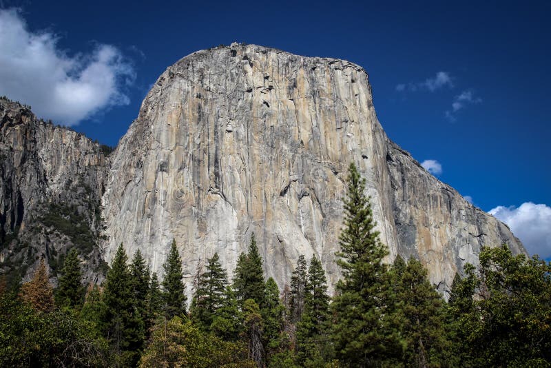 Утес El Capitan увиденный от дна долины Yosemite стоковые фото Утес El Capitan увиденный от дна долины Yosemite стоковые фото