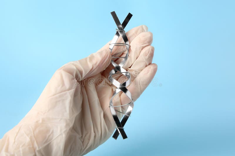 ученый с молекулярной цепной моделью dna, сделанной из металла на светло-синем фоне стоковые фотографии rf