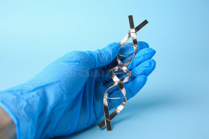 ученый с молекулярной цепной моделью dna, сделанной из металла на светло-синем фоне стоковая фотография