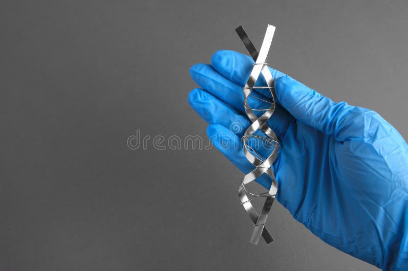 ученый с молекулярной цепью dna, сделанной из металла на сером замыкании. пробел для текста стоковое фото rf