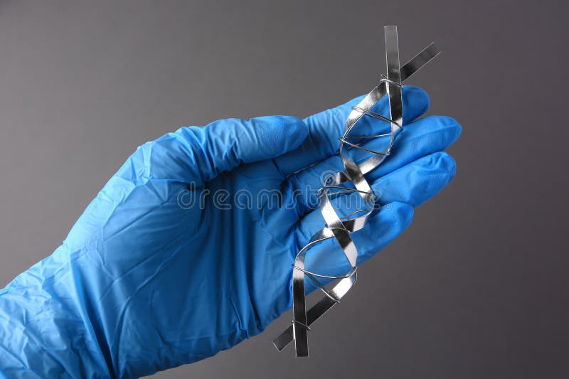 ученый с молекулярной цепью dna, сделанной из металла на сером замыкании стоковые фотографии rf