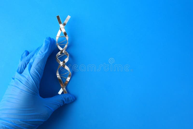 ученый с молекулярной цепью dna, сделанной из металла на синем фоне. пробел для текста стоковые изображения
