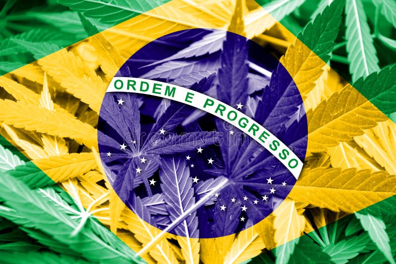 марихуана бразилия