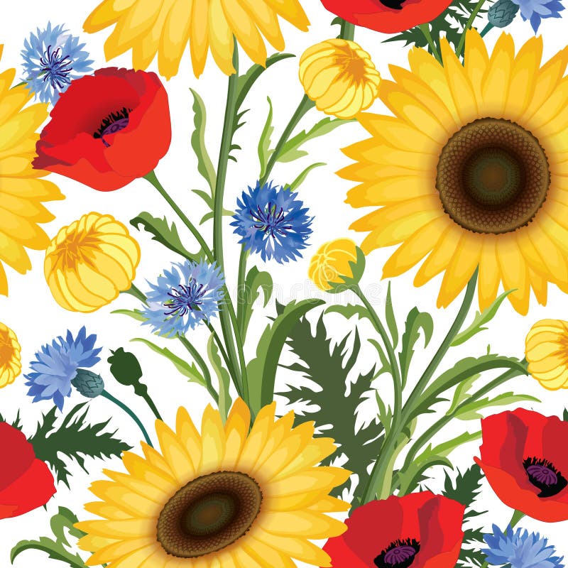 флористическая картина безшовная Мак цветка, солнцецвет, wea cornflower иллюстрация вектора
