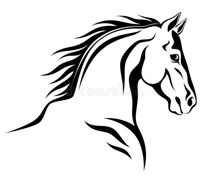 Horse head on a white background. Horse head on a white background